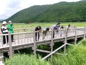 100_1677湿原内の小川にも色んな生物が.JPG